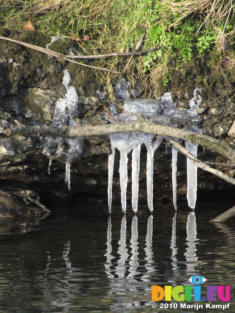 SX12282 Icicles from Ogmore River embankment